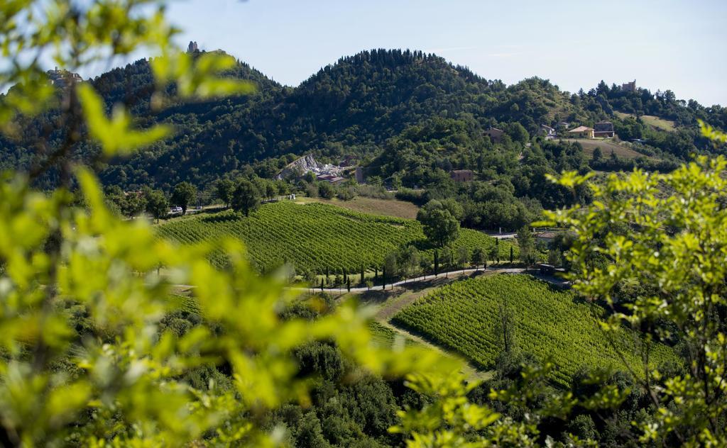 Tenuta Saiano Resort Torriana Exteriér fotografie