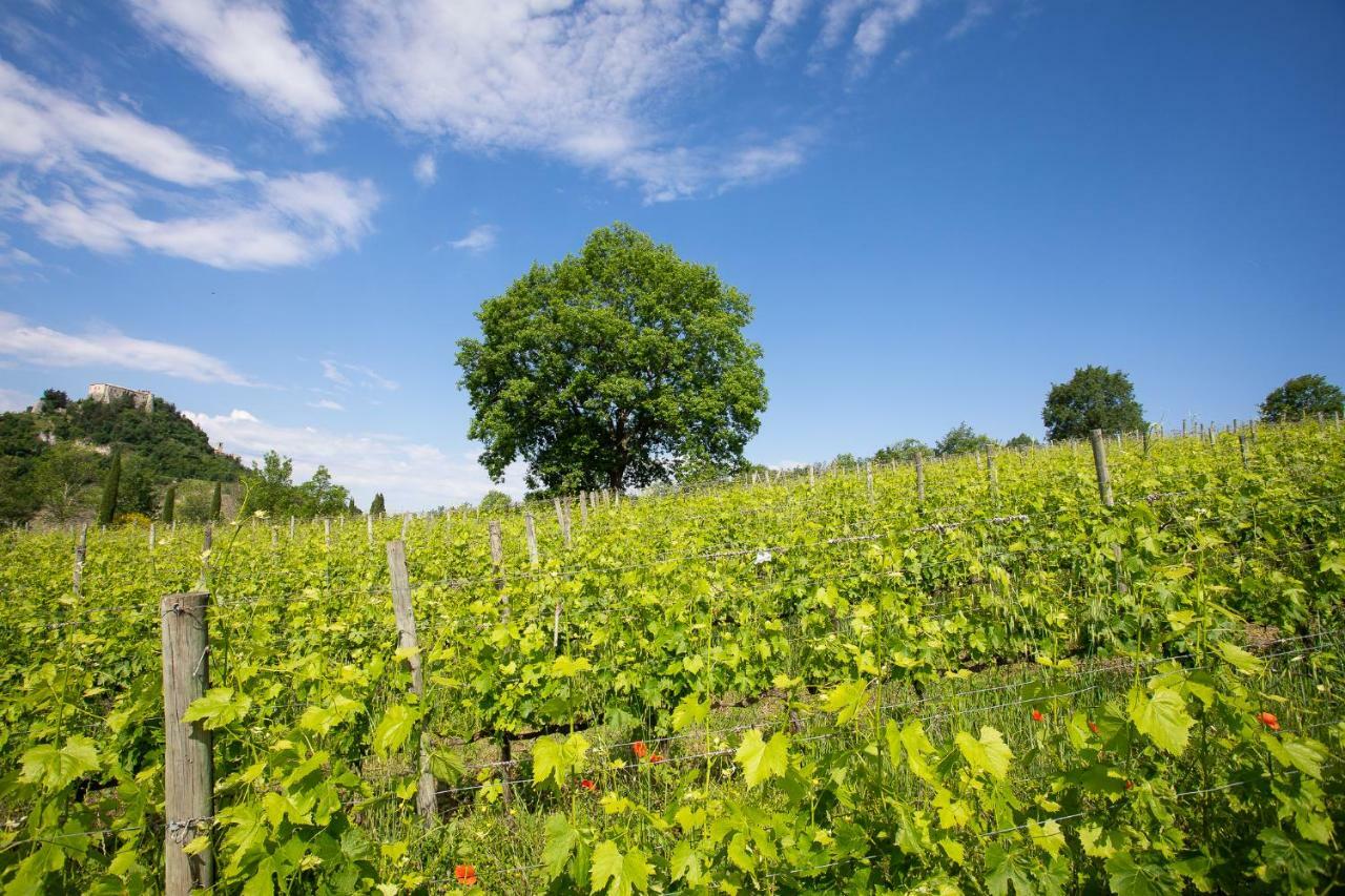 Tenuta Saiano Resort Torriana Exteriér fotografie